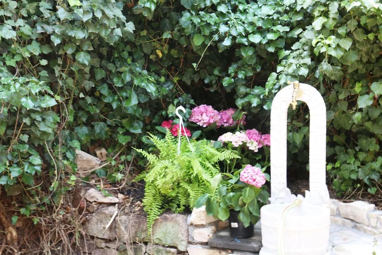 Lejlighed Casa Vacanze Il Giardino - Appartamento Castagno Aritzo