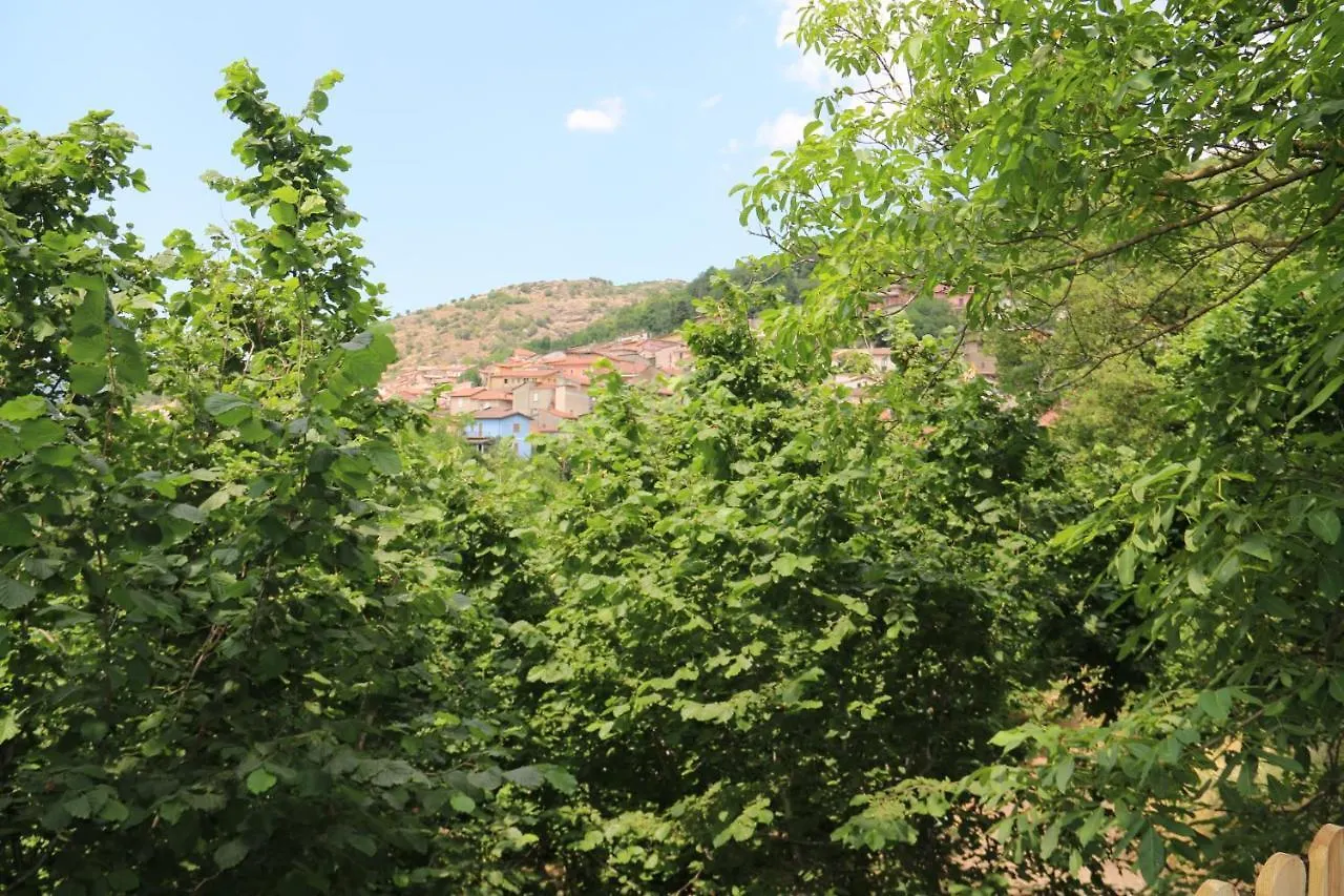 Apartment Casa Vacanze Il Giardino - Appartamento Castagno Aritzo Italy